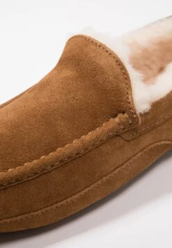 Ugg Ascot - Slippers - Cognac -Shein Fashion Store 803cda8a8be541ac8d9c90a02f7c7f17