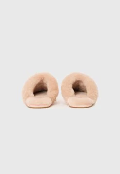 Ugg SCUFFETTE II - Slippers - Beige Blush -Shein Fashion Store 91501fed413140b4b13268b989bf19de